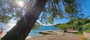 Apartments Ana Žaborić, 50 m od šljunčane plaže